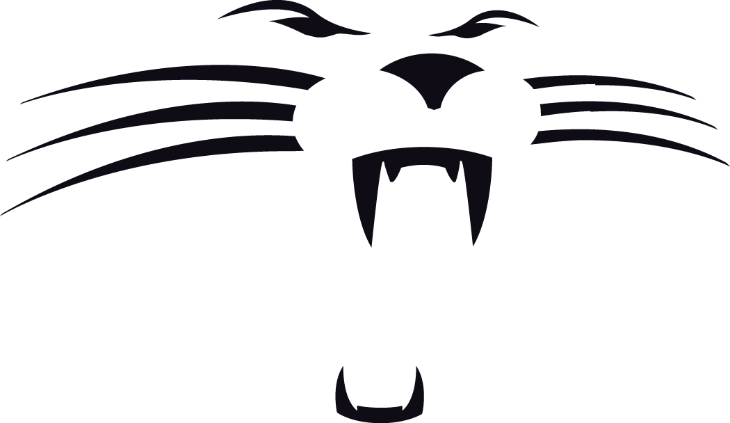 Carolina Panthers 1995-2011 Alternate Logo iron on transfers for fabric version 2